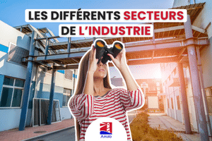 Quels sont les secteurs de l'industrie ? - Kerry Ebersole Singh