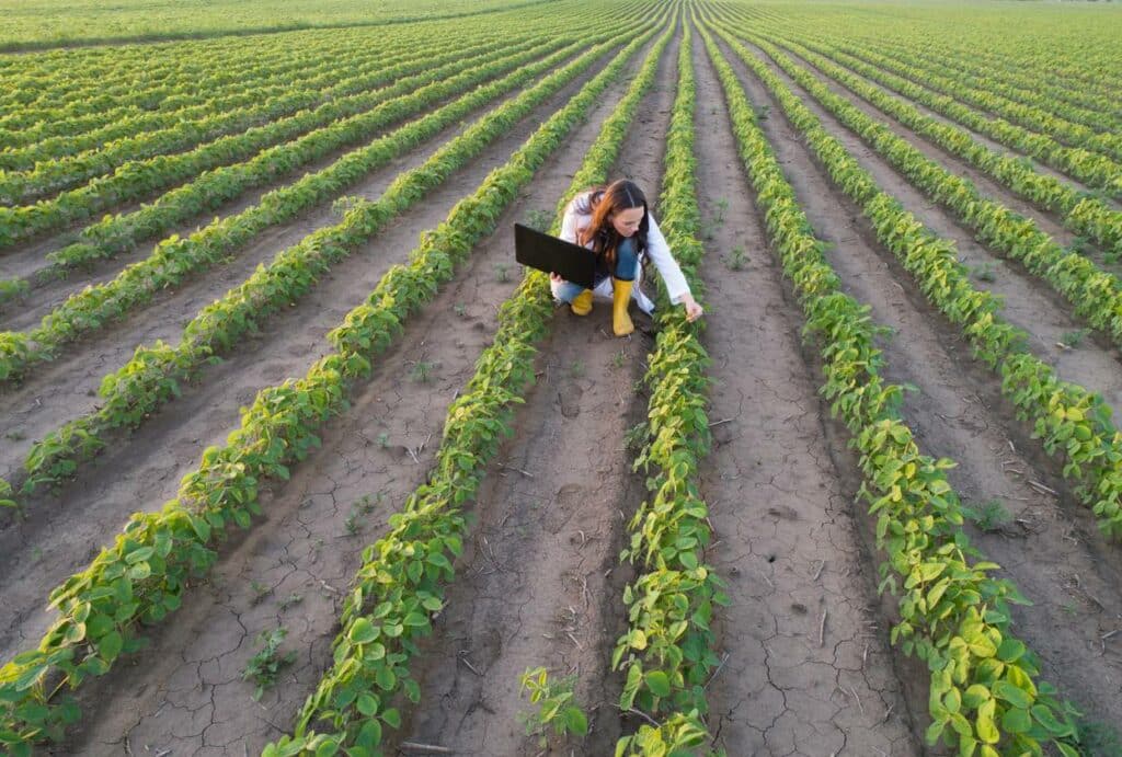  métiers développement durable