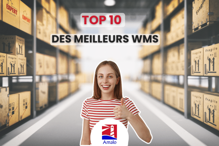 top 10 des meilleurs wms